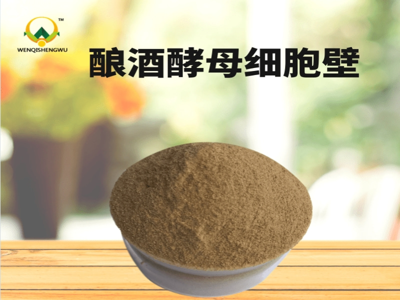 釀酒酵母細胞壁長(cháng)期使用對魚(yú)類(lèi)養殖的好處