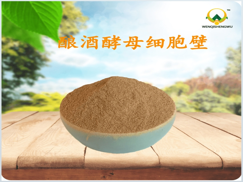 酵母細胞壁生產(chǎn)工藝及作用原理