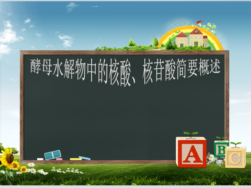 酵母水解物中的核酸、核苷酸簡(jiǎn)要概述