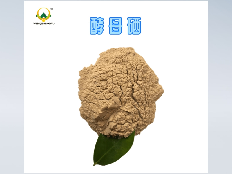 酵母硒在羊不同生理階段的作用（二）
